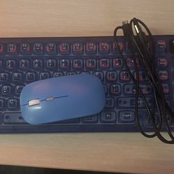 LED Keyboard and Mouse Combo