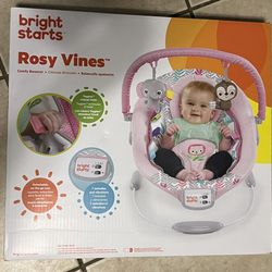 Baby Bouncer