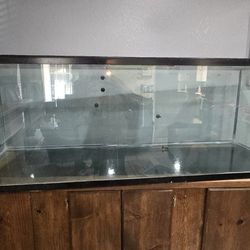 Fish Tank 