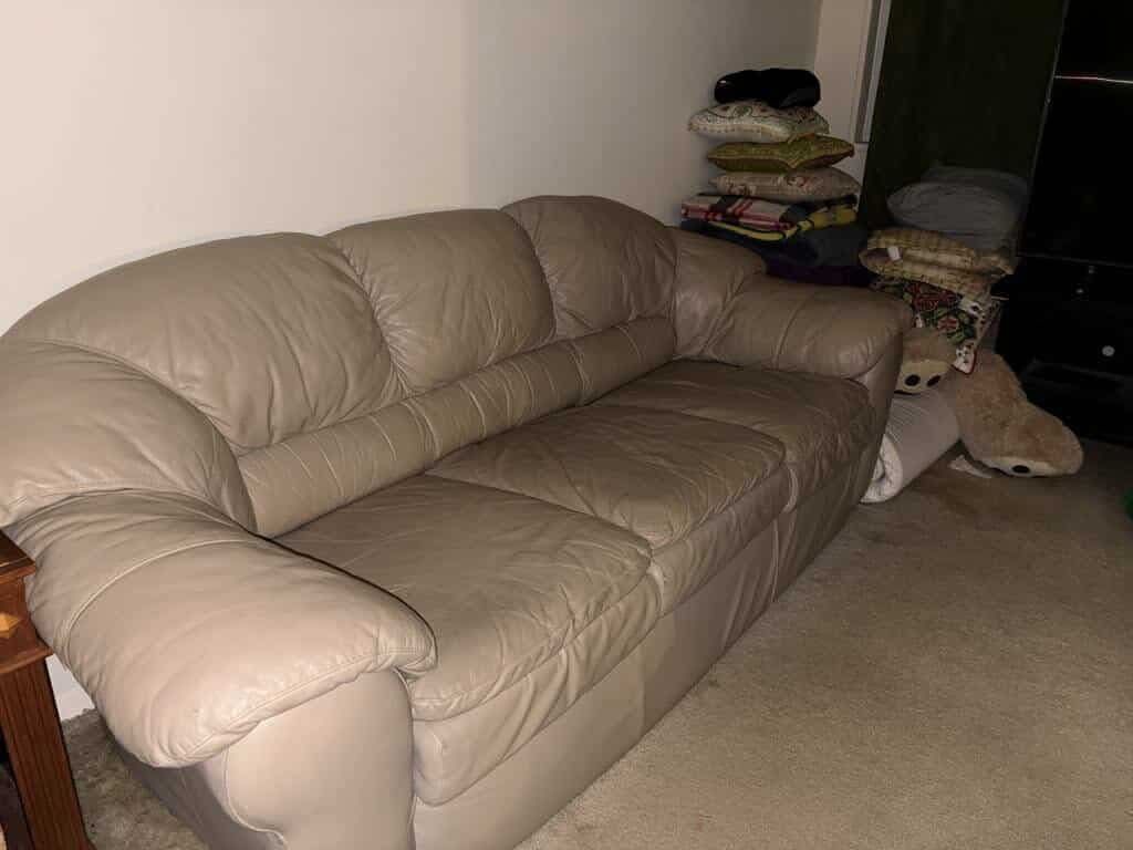 Free Leather Sofa