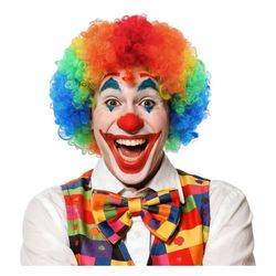 Clown Wig New