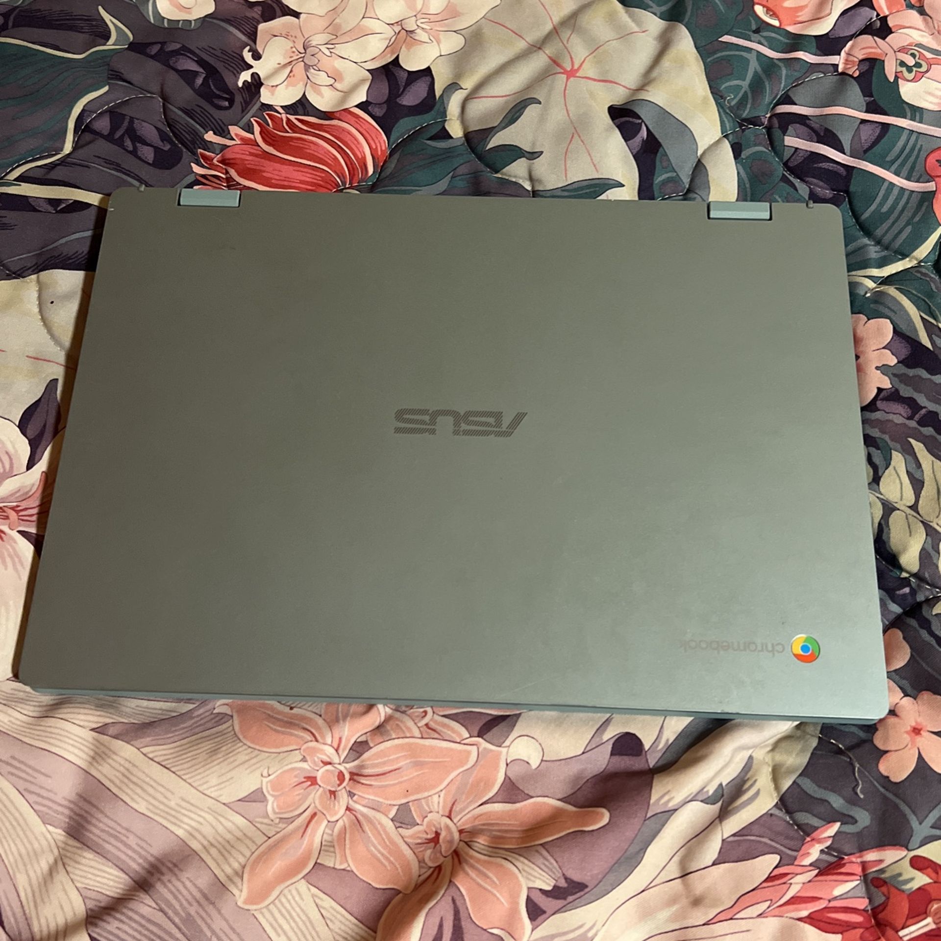 Asus Chromebook 