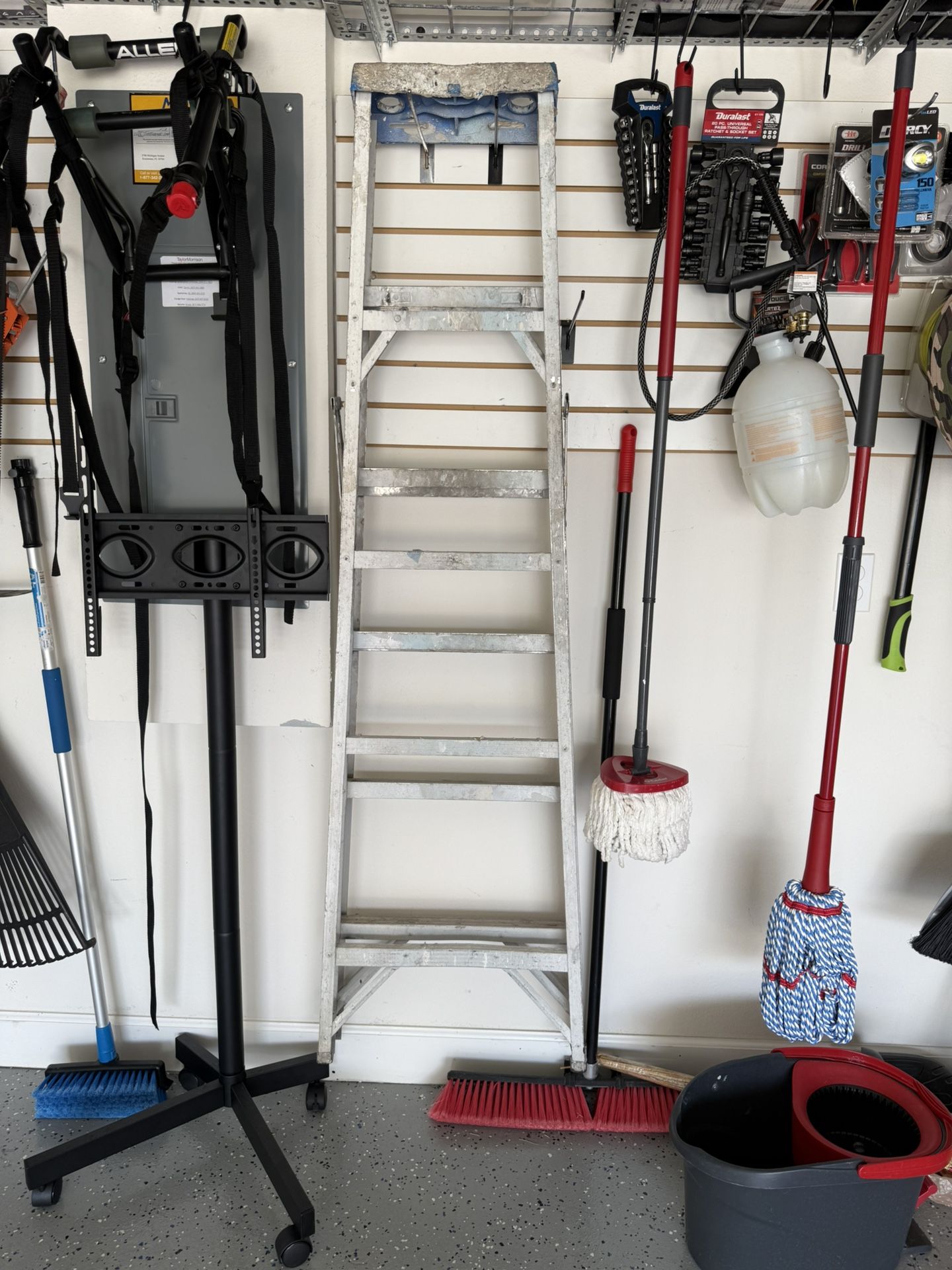 Ladder