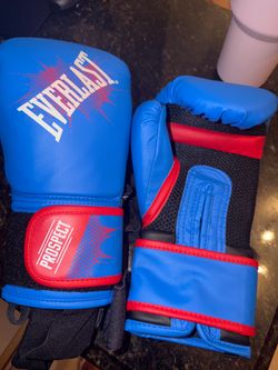 Youth Everlast boxing gloves in great condition