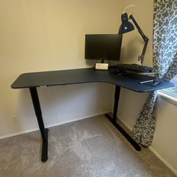 Electric Lifting Desk 