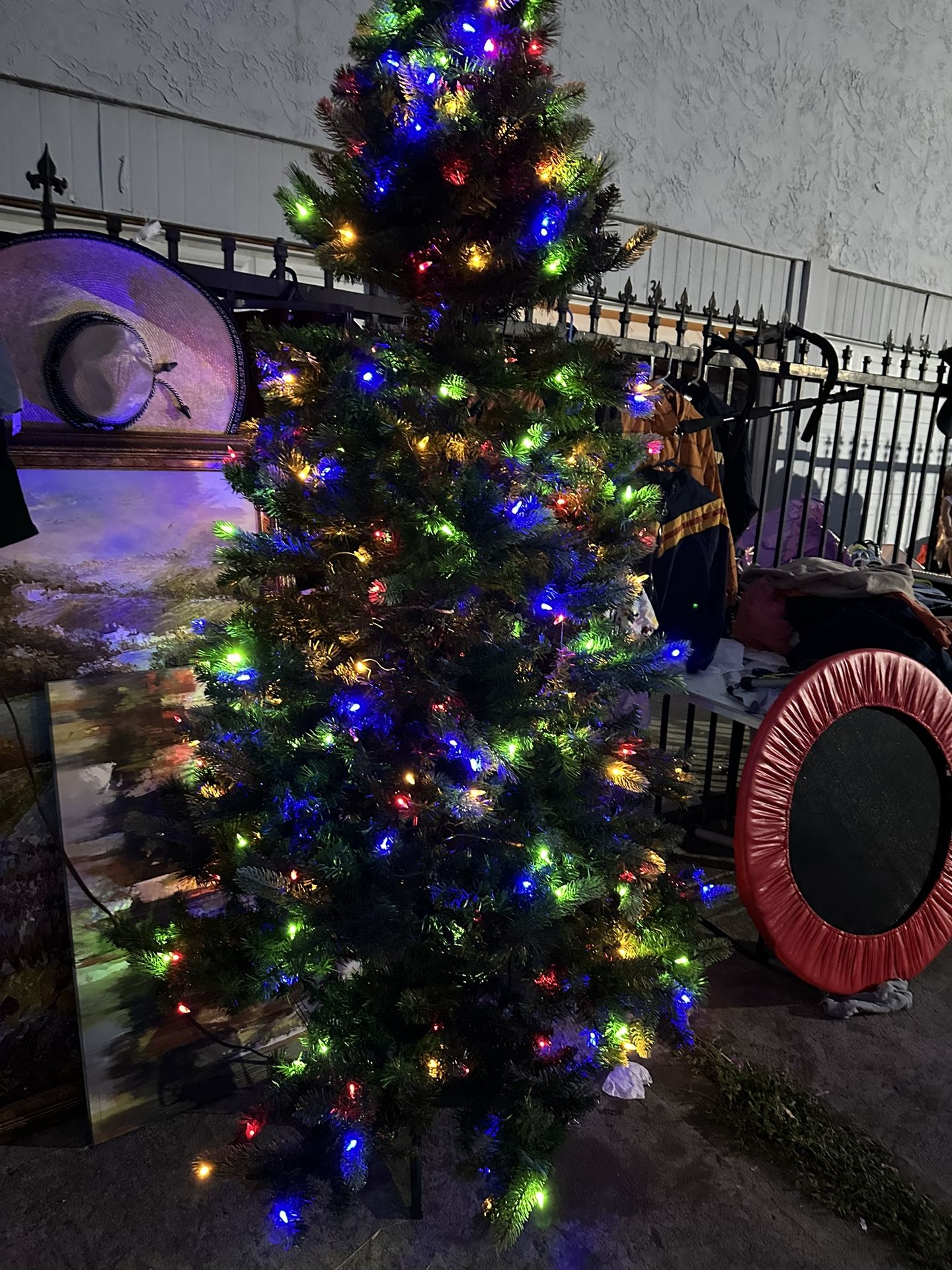 Pino De 7 Pies De Alto