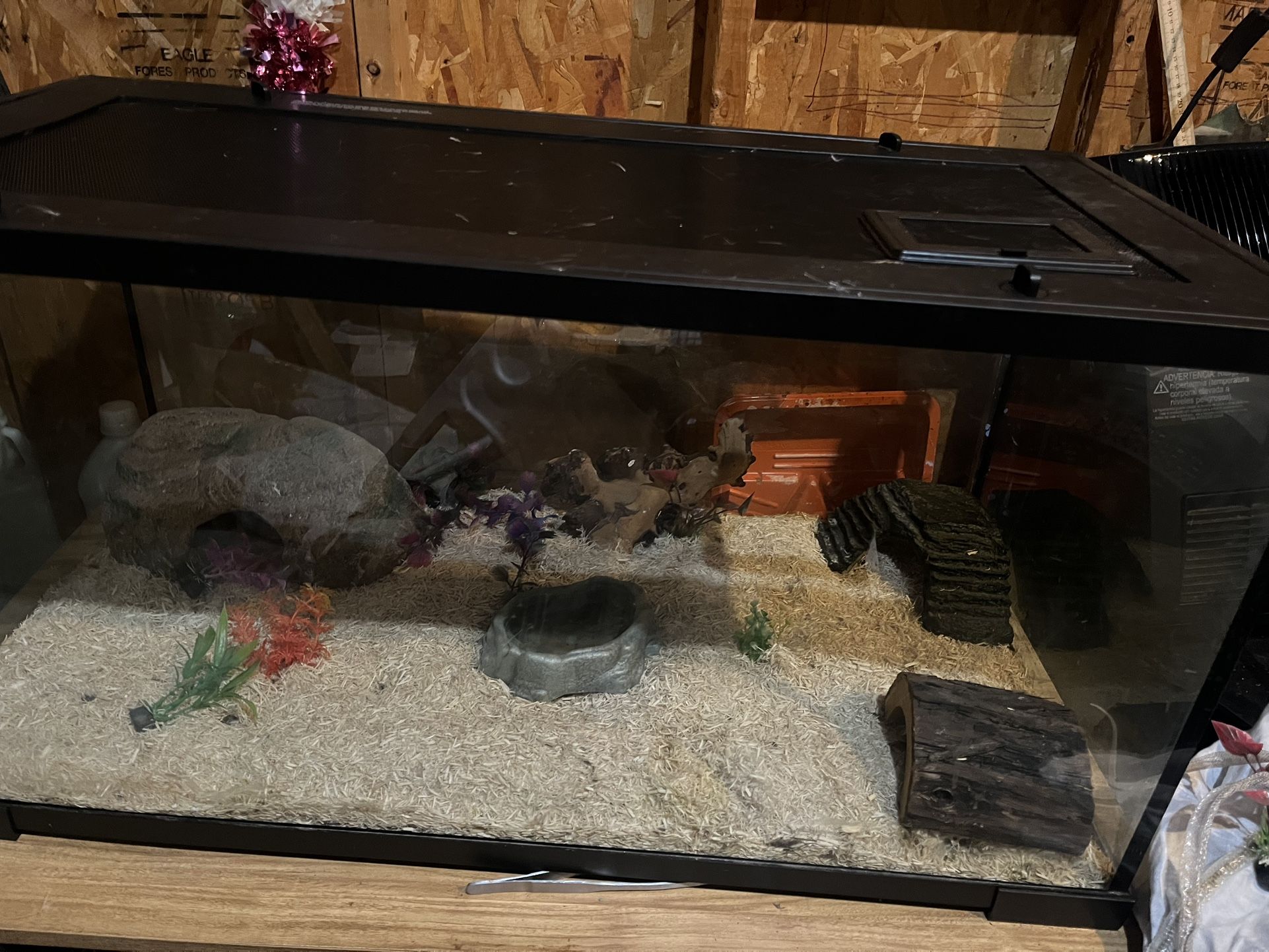 40 Gallon Tank