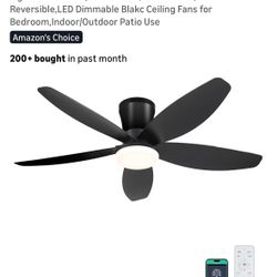 Ceiling Fans with Light