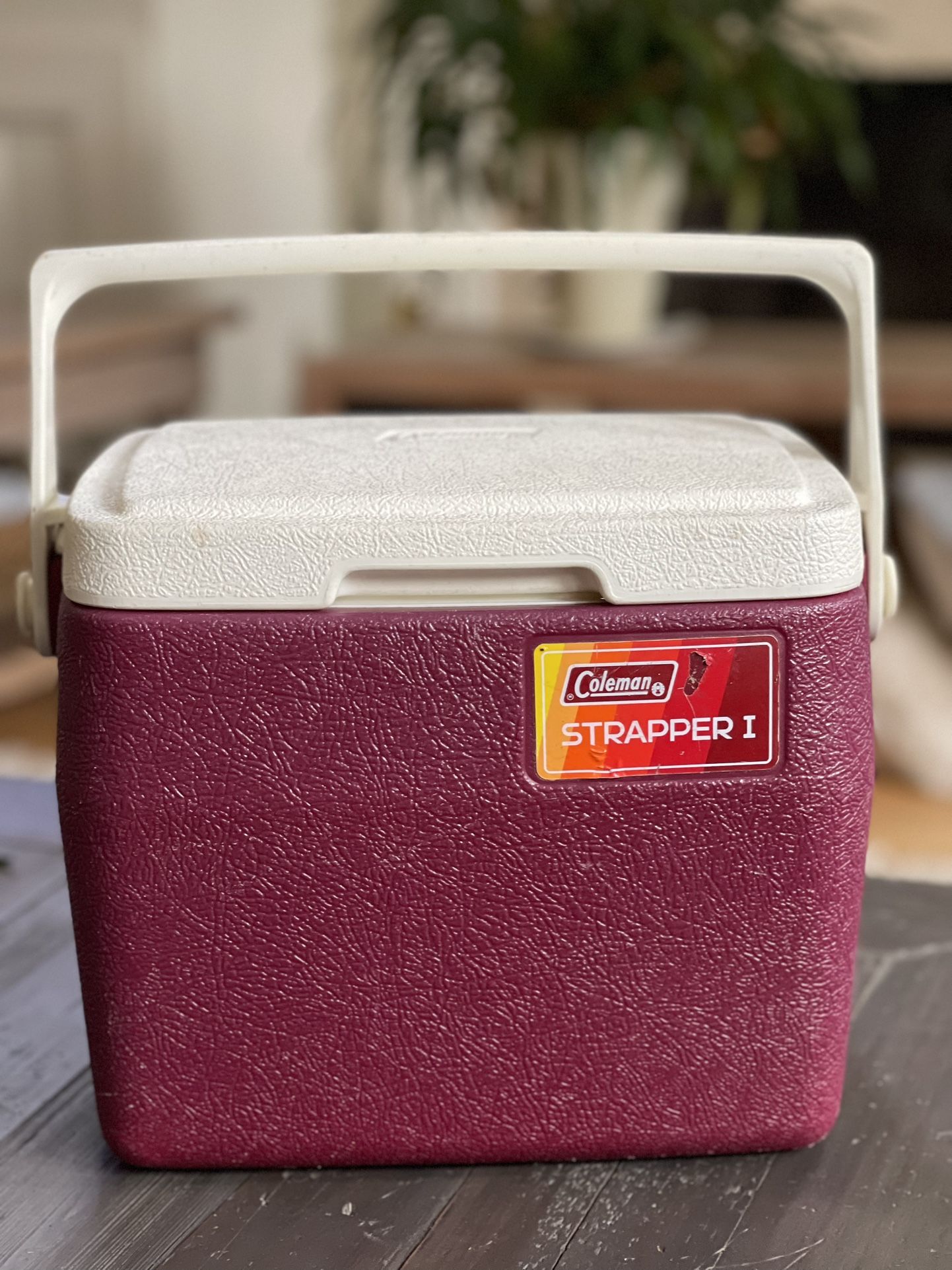 Coleman Strapper Red and White Lunch Cooler