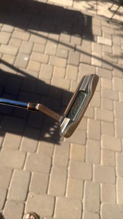 Yes! Callie I-4 tech putter