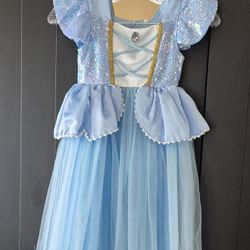 Girls Costume Size 5/6 $10