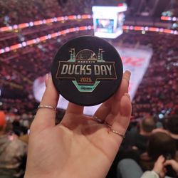 Ducks Disney Puck 