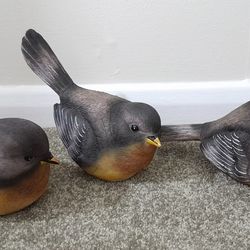 3  American Robins