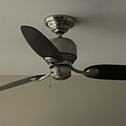 Hunter Fan With Reversible Blades (dark Brown Or lighter Brown)