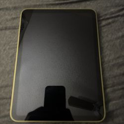 iPad 10th Gen 256gb