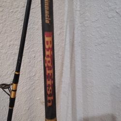 Fishing Rod And Real