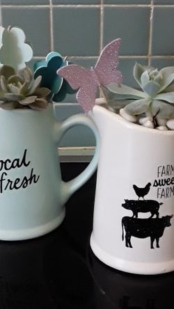 Small Ceramic Pitchers With Succulant Plants