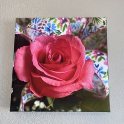 Flower Framed Photograph