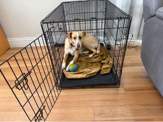 Dog crate. Extra Large