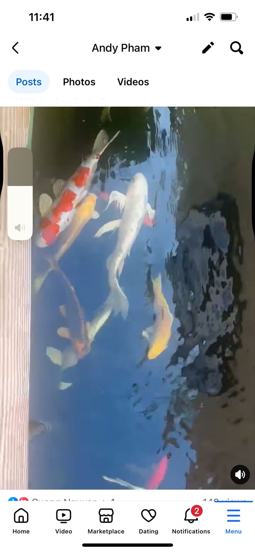 Koi Forsake