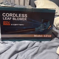 Cordless LEAF Blower 