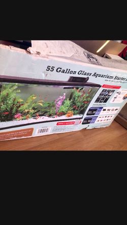 55 gallon glass aquarium starter kit