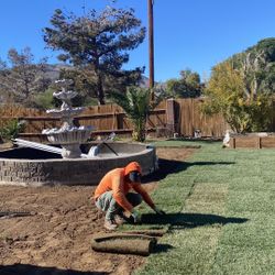 New Sod And Sprinklers 