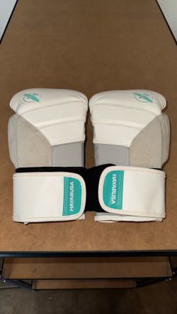 Hayabusa T3 12oz