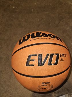 Wilson Evo Basketball
