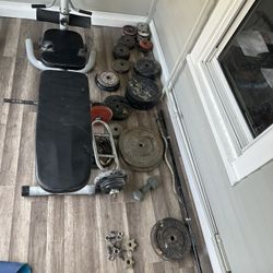 Weights and Bench