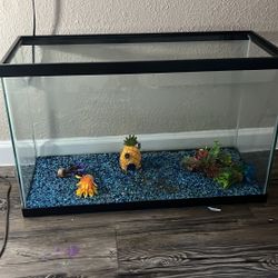 Big Fish Tank 