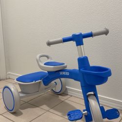 Toddler Tricycle 