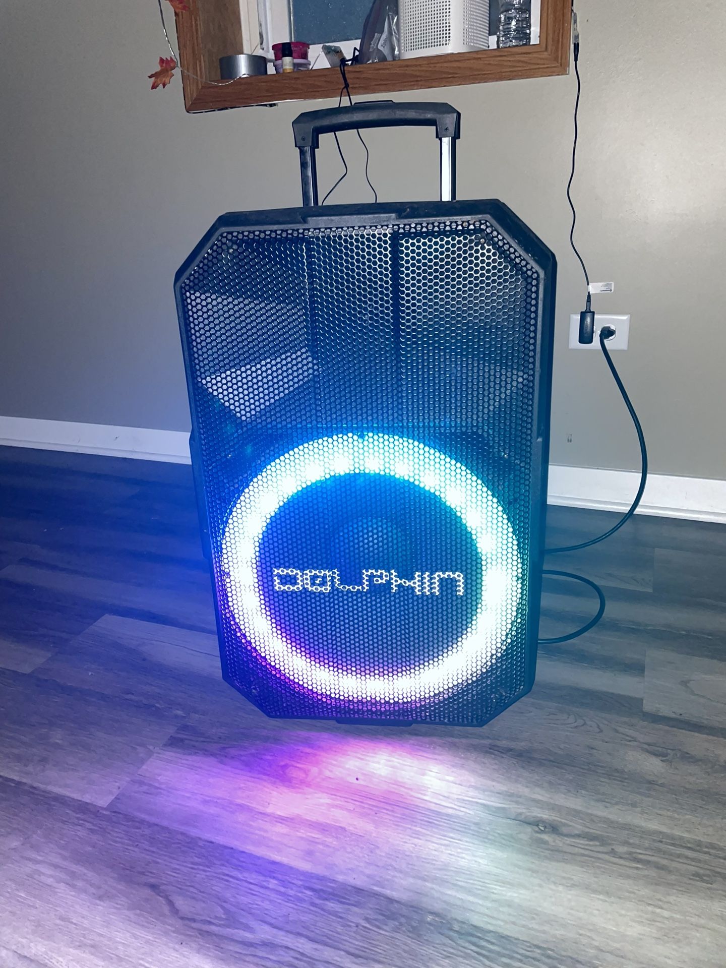 Dolphin Chargeable Portable Speaker