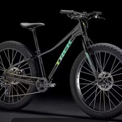 Trek 24” Mountain Bike