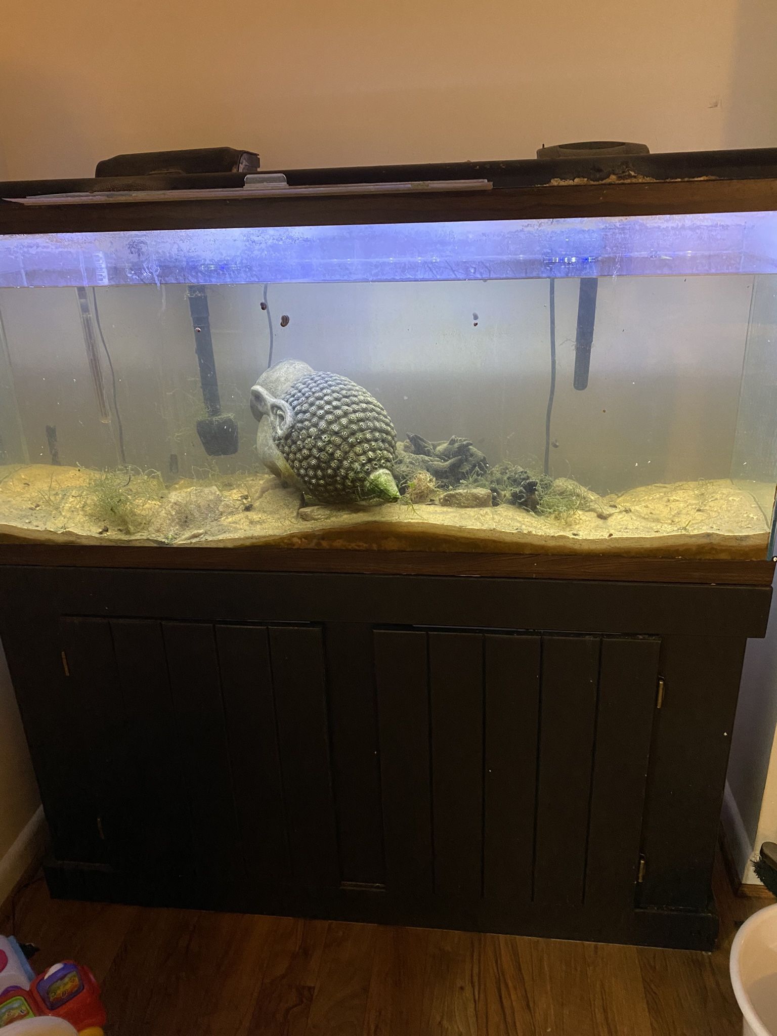 55 Gallon Tank And Stand
