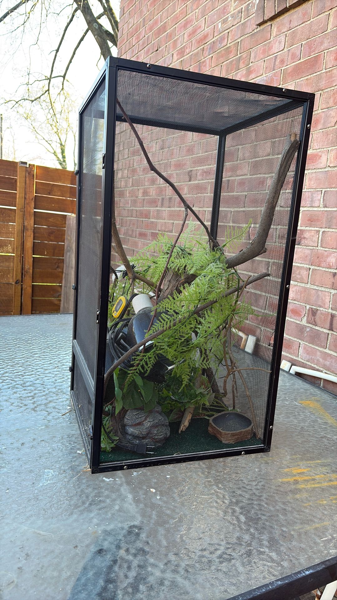 reptile cage