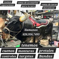 Mechanical Bull (()) Toro Mecanico