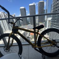 BEASTMODE‼️( lookings for fat quad)