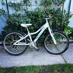 GIANT REVEL YOUTH MOUNTAIN BIKE 24” Wheels 