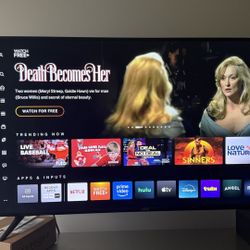 Vizio 50 Inch 