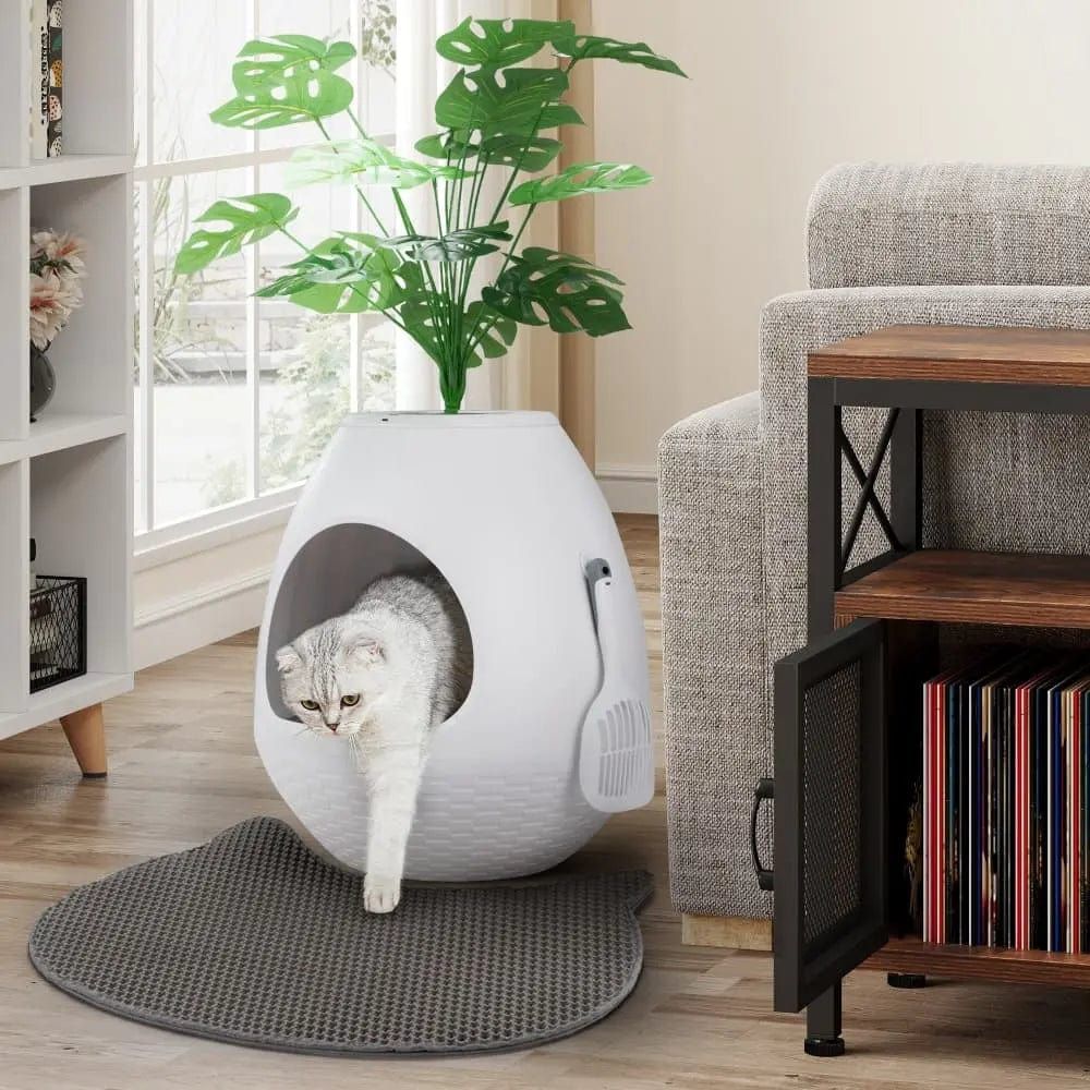 Cat Little Box, Coziwow Eggloa6 2-in-1 Cat Litter Box & Cat Bed, NEW
