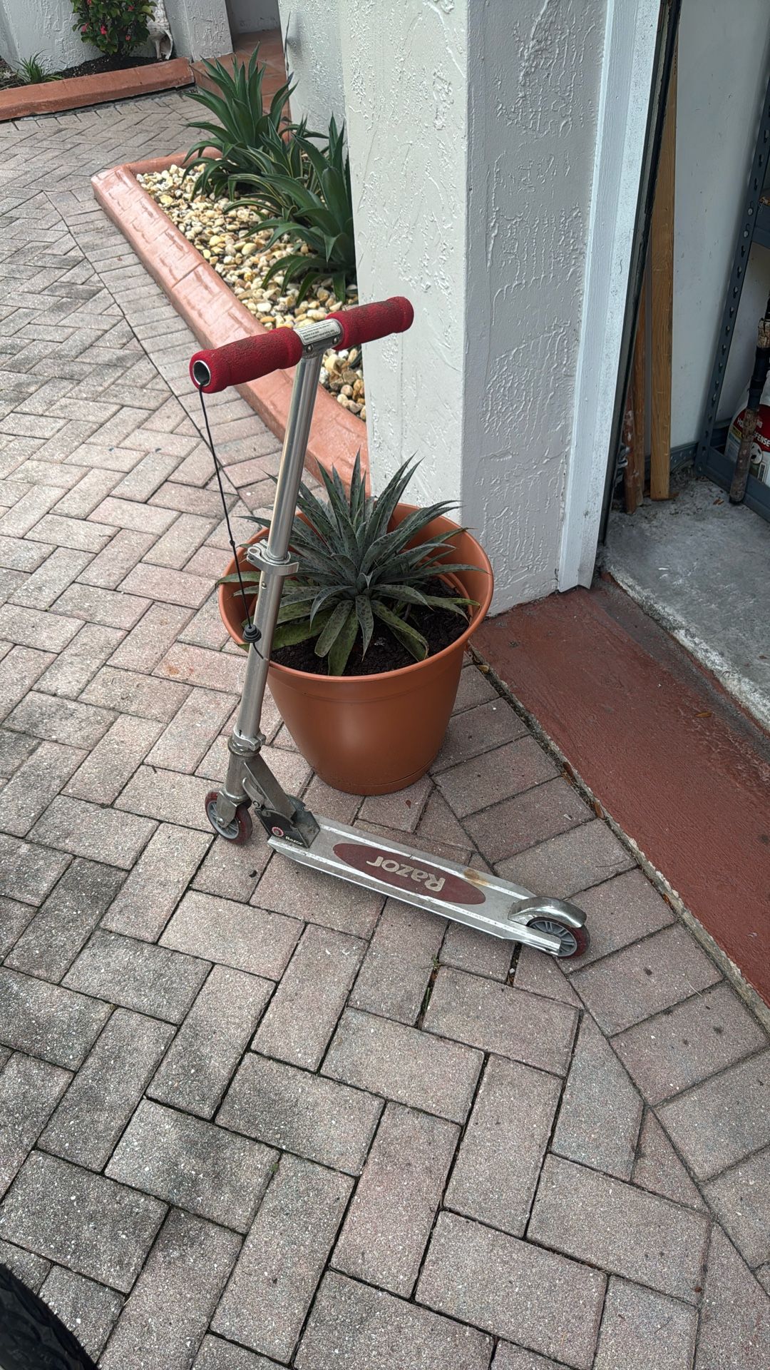 Scooter