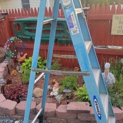 Werner 6 Ft Fiberglass Ladder