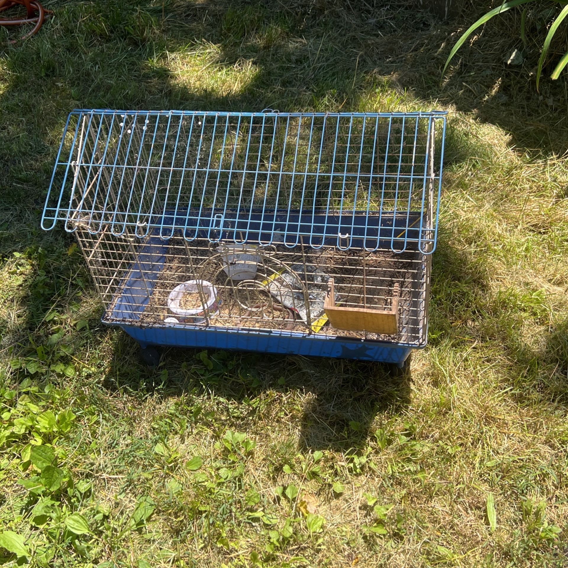 Metal Hamster Or Animal Cage-Needs Bath