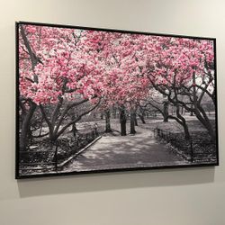  Central Park NY Cherry Blossoms Wall Art