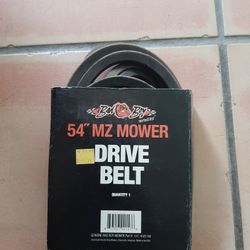 041-4022-98  Bad BOY MOWER DECK BELT 54 INCH 