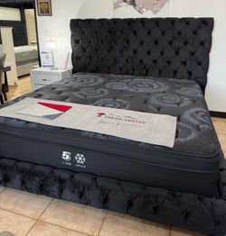 NEW QUEEN AND KING LUXURY BED WITHOUT MATTRESS AND FREE DELIVERY