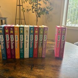 Dork Diaries