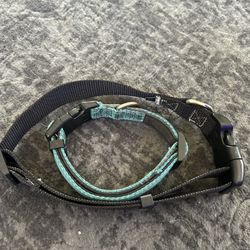Dog Collar
