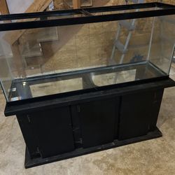 55 Gallon Aquarium and Stand